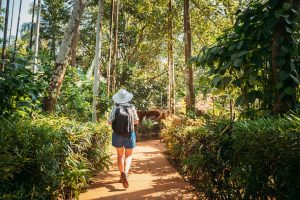 Goa, India. Young Backpacker Woman Walking Through Botanical Garden In Sunny Day